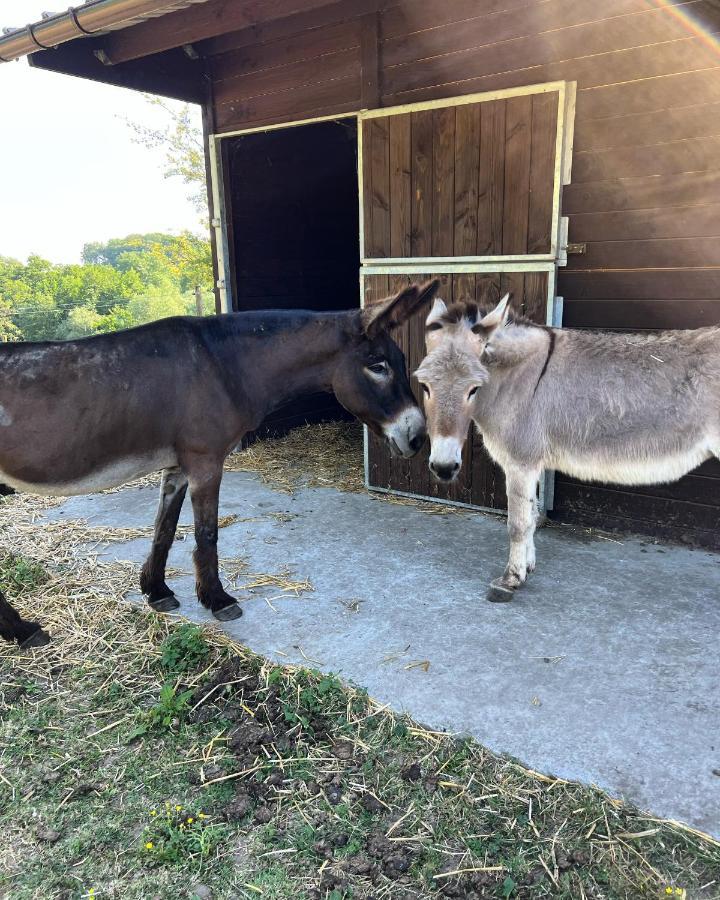 La Ferme Saint Pierre De Glabais Villa Genappe Kültér fotó